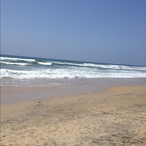 Meet your Posher, Molly